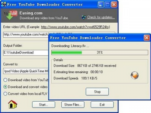Eusing Free YouTube Downloader Converter 1.6 - T�l�charger 1.6